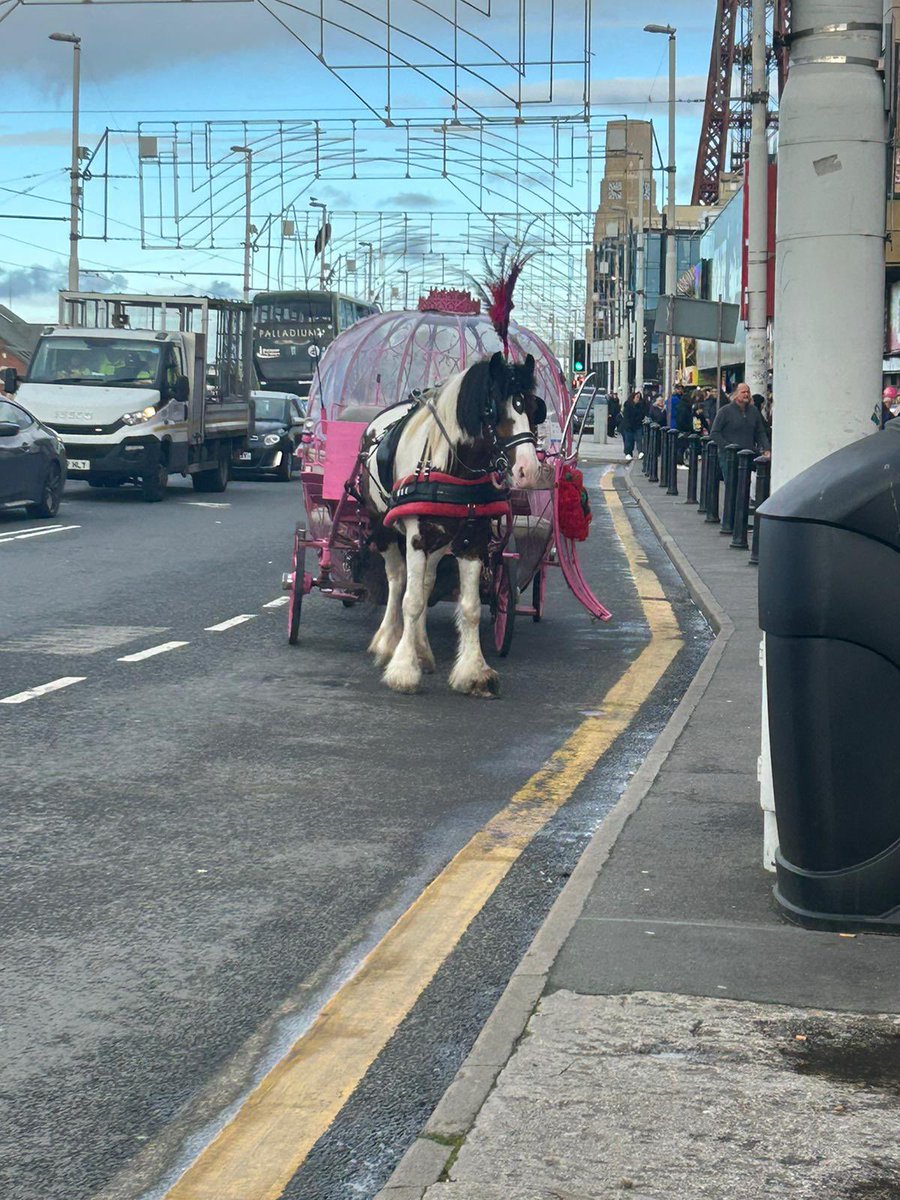 CenturyHouseSIS's tweet photo. Century house individuals we support had a fun pact day out in Blackpool going the arcades, playing bingo and enjoyed some tasty treats #blackpool #fundayout https://t.co/D4JFknhPPh