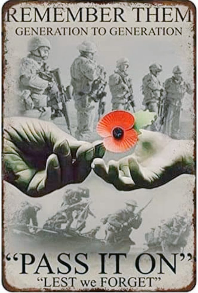 Lest we Forget ❤️

#the_storm_trilogy 
#thedirector
#themediator
#teamliamlove
#teamcameronlust