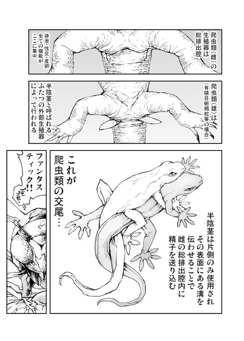 リザードマン♀は交尾…はじめてだよ!(1/3)