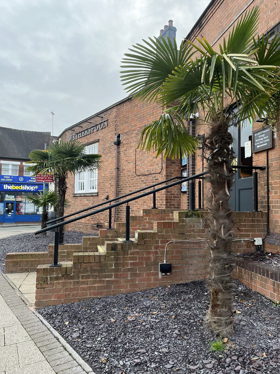 Dav1dOLeary's tweet photo. Sunday morning’s #walkwithcharlie on tour - Tamworth (a) even the Wetherspoons has palm trees. 🌴 https://t.co/AluHXxUi1I