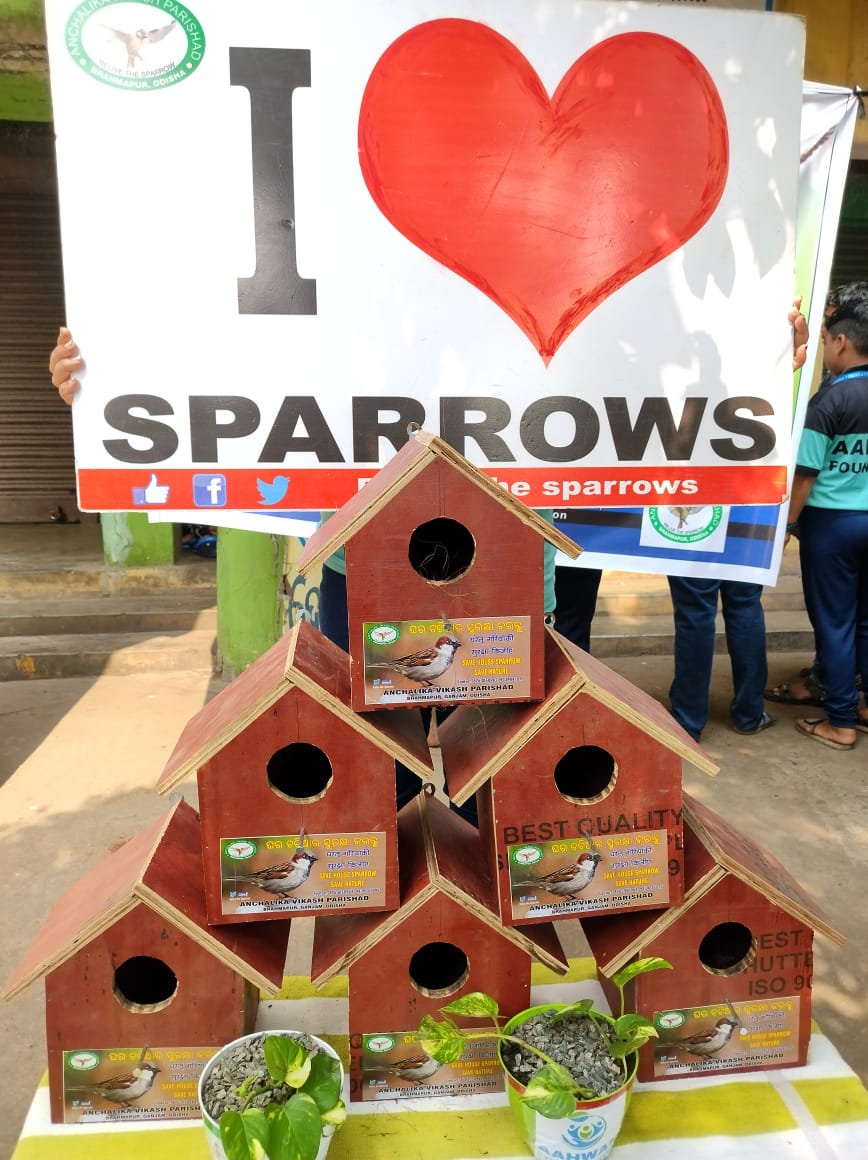 Aahwanofficial's tweet photo. Aahwan Foundation is proud to announce the launch of a House for #SparrowConservation in Paradip, in collaboration with Anchalika Vikash Parishad,Berhampur.  Together, we're fostering a habitat for these delightful birds.
@CollectorJspur
@ForestDeptt @SatpathyLive @DharitriLive1 https://t.co/yPgbXgP30F
