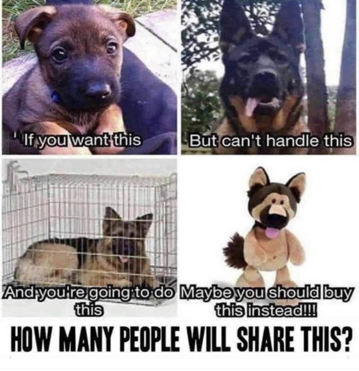 NicNic711's tweet image. 