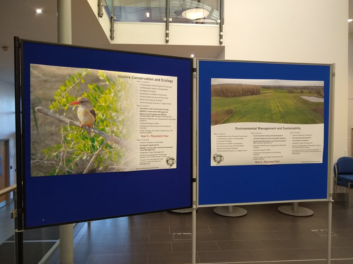 Dr Lucy Crockford tweet media