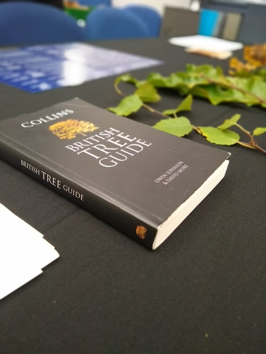 Dr Lucy Crockford tweet media