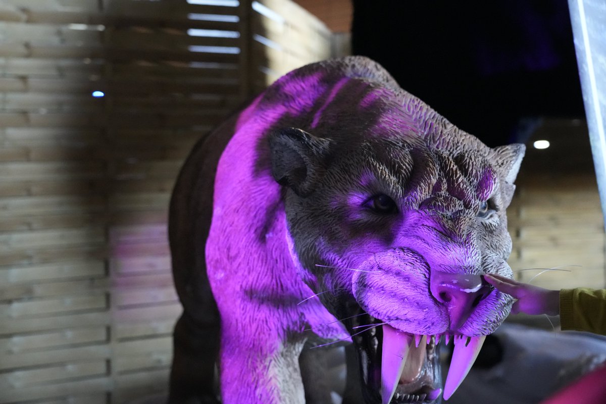 dinomusee's tweet photo. La photo du jour. Le Musée Éphémère vous attend aujourd'hui  au parc des expositions de Metz de 10H00 à 18H00 réservation des places ici: https://t.co/IHdUxs8ZoT https://t.co/8JOQipuFYo