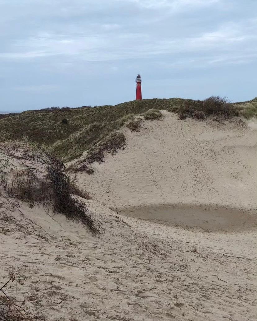 Petjepiertje's tweet photo. #devilstrail Schiermonnikoog https://t.co/iyOiZpnlsa