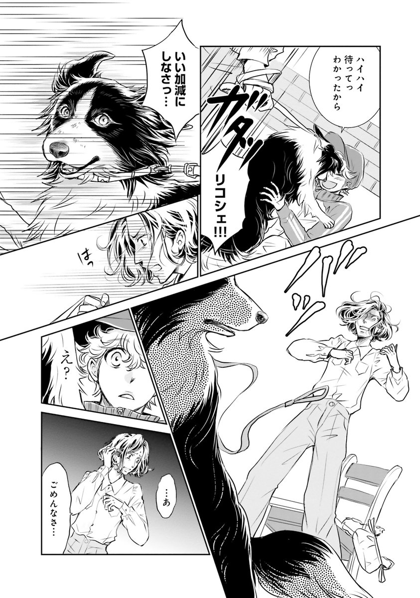 2023年11月12日のツイート | DOG SIGNAL（ドッグシグナル）【公式