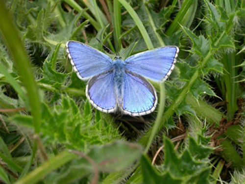 KentWildlife's tweet image. 🪄How can you turn £10 into £12.50 or £50 into £62.50?! With the magic of #giftaid, of course! It makes a massive difference to us and doesn't cost you a penny.

If you're a UK taxpayer, we've made it even easier to add gift aid to your #membership 👉 ow.ly/5nvp50Q6CEX