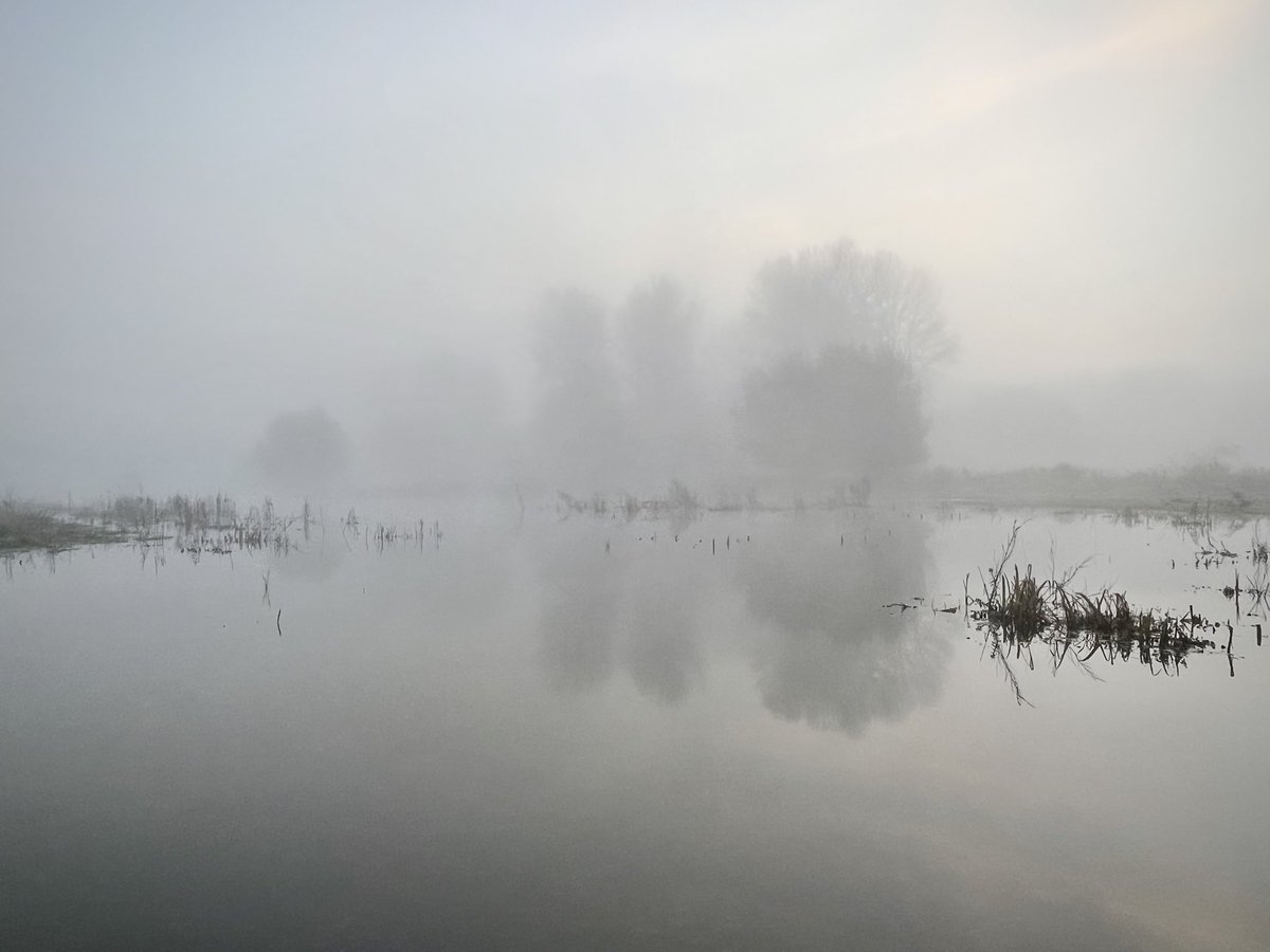 WalkingTractor tweet media