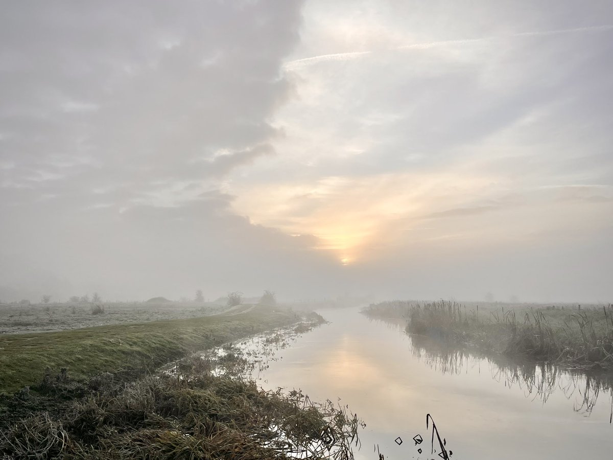 WalkingTractor tweet media