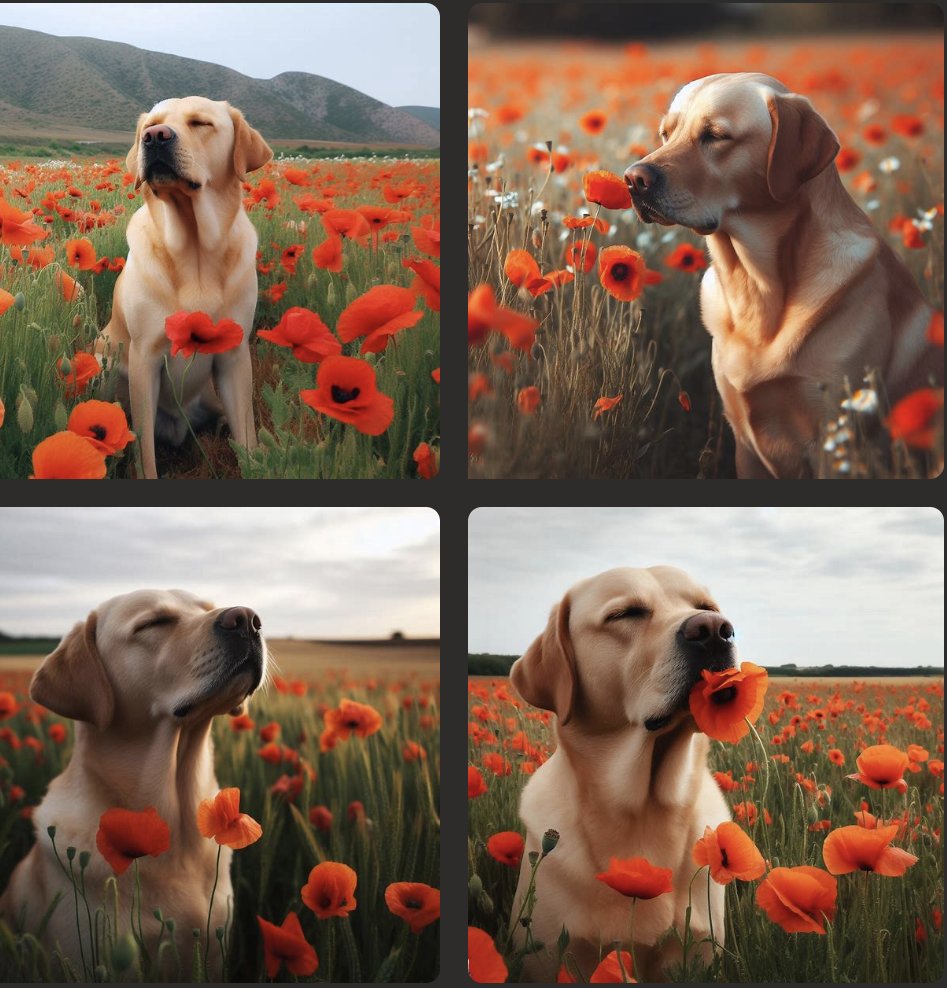 They shall grow not old, as we that are left grow old
Age shall not weary them, nor the years condemn.
At the going down of the sun and in the morning
We will remember them.
#RememberanceDay #dogsoftwitter #dogs #dog #LestWeForget #ArmisticeDay