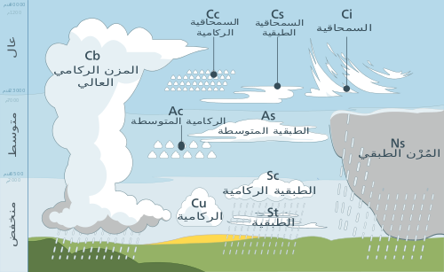 ALMISNID's tweet photo. تصنيف السحب..
أحياناً أتحدث عن السحب الركامية والمنخفضة والمتوسطة والعالية والفارق بينهما ما يلي:

☁️السحب العالية: تتشكل على ارتفاع 6كم فأعلى حيث درجة   الحرارة منخفضة جداً، لذا فهي تحتوي على بلورات جليدية، ولون السحب العالية   بيضاء وهي غير سميكة، وتعطي عدة ألوان عند الغروب والشروق، وهي سحب شفافة لا   تحجب أشعة الشمس وغير ممطرة.
☁️ السحب المتوسطة: تتشكل على ارتفاع 2-6كم وتحمل معها   قطرات الماء وقد تحمل بلورات ثلجية في حالة كون الهواء بارداً جداً وتحجب أشعة   الشمس.

☁️السحب المنخفضة: قاعدة السحابة غالباً أقل من 2كم   وتحتوي على قطرات الماء وأحياناً تتشكل فوق سطح الأرض مباشرة وتسمى عندئذ ضباب.

☁️ السحب الركامية: أو المزن الركامي وهي علي هيئة جبال   معلقة في السماء قاعدتها في مستوى 2كم وقمتها تتجاوز 13كم أحياناً، وتظهر غالباً   عندما تكون الأجواء حارة في الربيع والخريف، ولأنها قريبة من أعيننا نراها تتحرك   وتتشكل أسرع من غيرها وحركتها تشابه حركة الرياح السطحية وفي قممها يتخلق البرد.