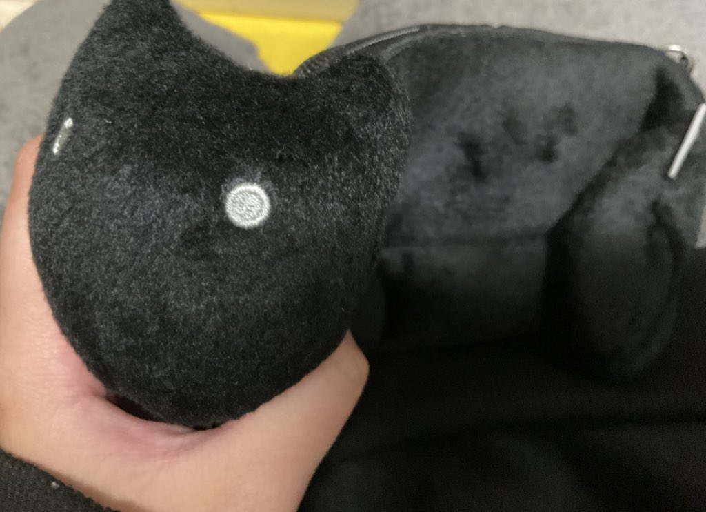 kkaaannsan's tweet photo. メルカリで黒い生物捕獲した😸
明日からうちのペンポーチやでー https://t.co/2bi4PyaIDH