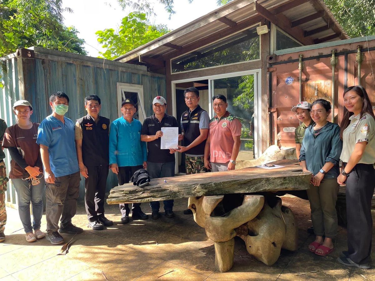 📢ประกาศแจ้งข้อมูลภารกิจในการช่วยเหลือ ช้างป่าพลัดหลง "กันยา"🐘
ซึ่งปัจจุบันย้ายมาอยู่กับช้างแม่รับที่ฟาร์มช้างภัทร จ.เชียงใหม่

❌❌งดเข้าเยี่ยมทุกกรณี❌❌
❌❌ทางฟาร์มช้างไม่รับเงินบริจาค❌❌

ในส่วนการไลฟ์ติดตามน้องกันยา
👉🏻 facebook.com/DNP1362?mibext… เป็นหลัก

#ช่วยช้างถึงช้าง