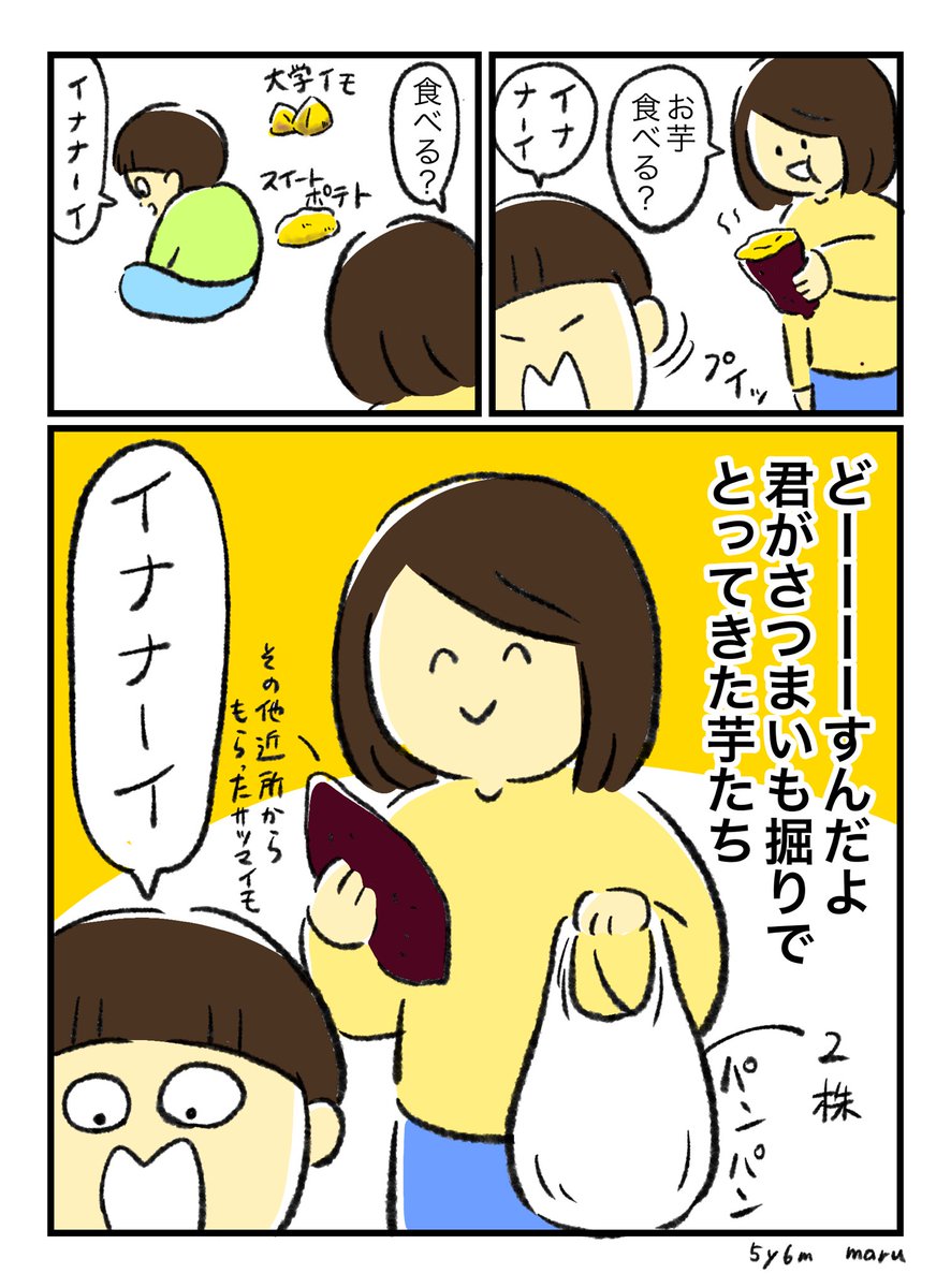 みんなどうしてるの…大量のさつまいも…(父にもご近所さんにも友人にもいらないですと断られ済)
