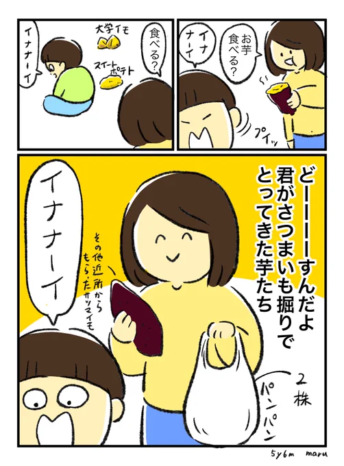 みんなどうしてるの…大量のさつまいも…(父にもご近所さんにも友人にもいらないですと断られ済)