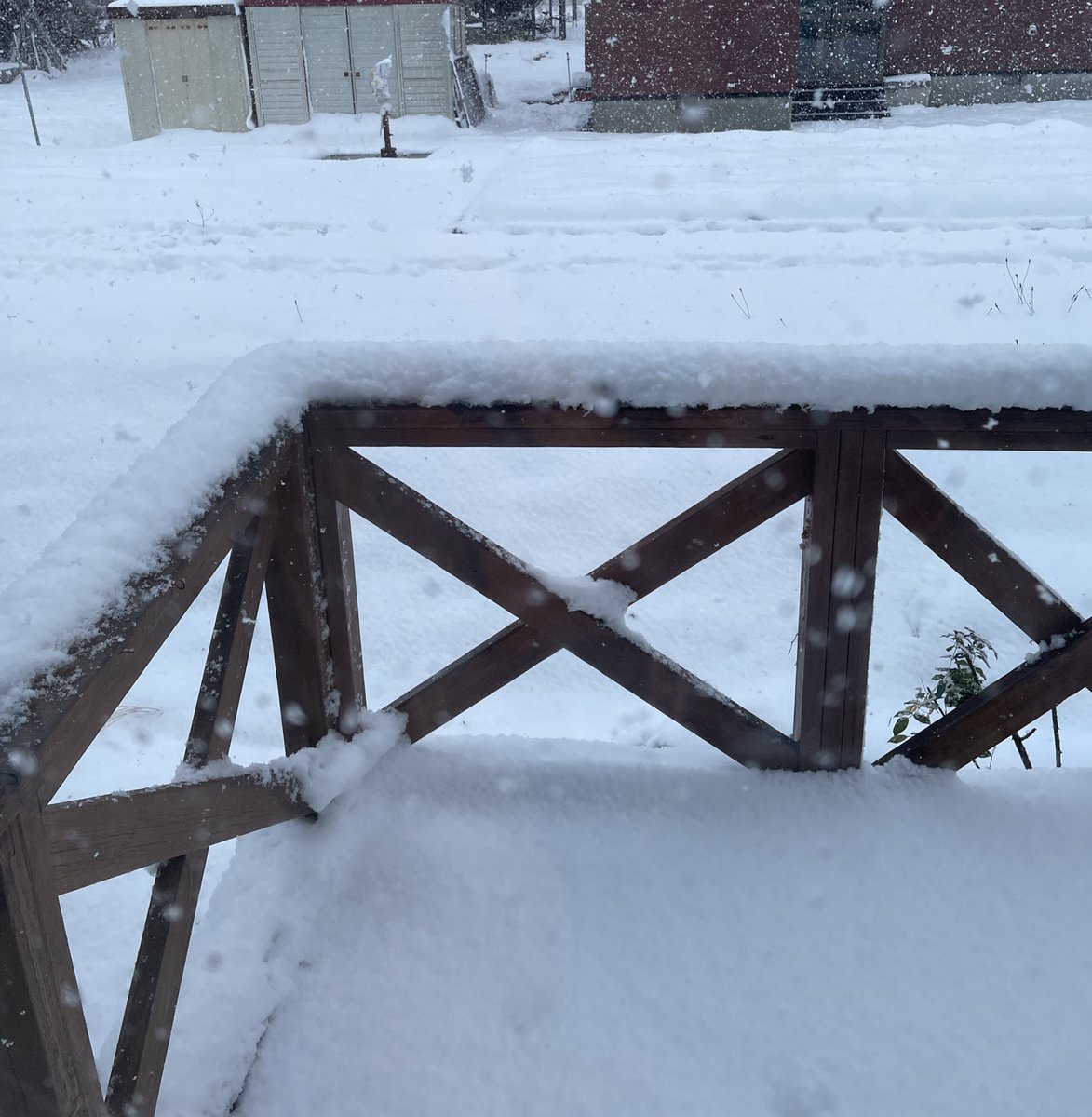 azsah222's tweet photo. 先週まで博多に居て暑いくらいだったのに、、ただいま北海道❄️(また溶けるけど)
#一時帰国 https://t.co/C5t20ngxl1