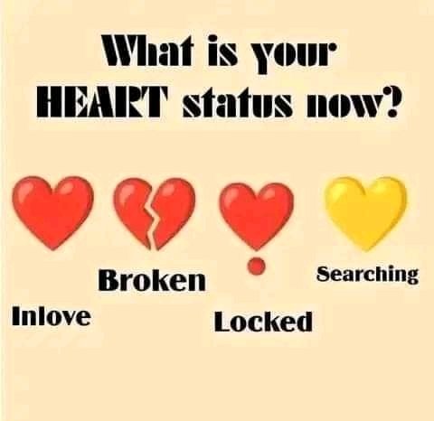 prettyLaddyy9's tweet photo. Mine; searching 💛
And you?🙃 https://t.co/bW0LYtwzTx