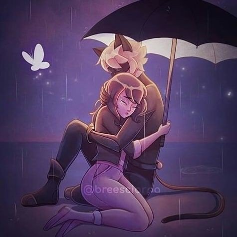 "Adrien?"

No podía creer que todo esté tiempo su compañero había sido Adrien su novio actual. Estaba apunto de ser akumatizada pero gracias a Chat Noir eso no paso.

"Pensé que nuestras identidades tenían que ser un secreto."
