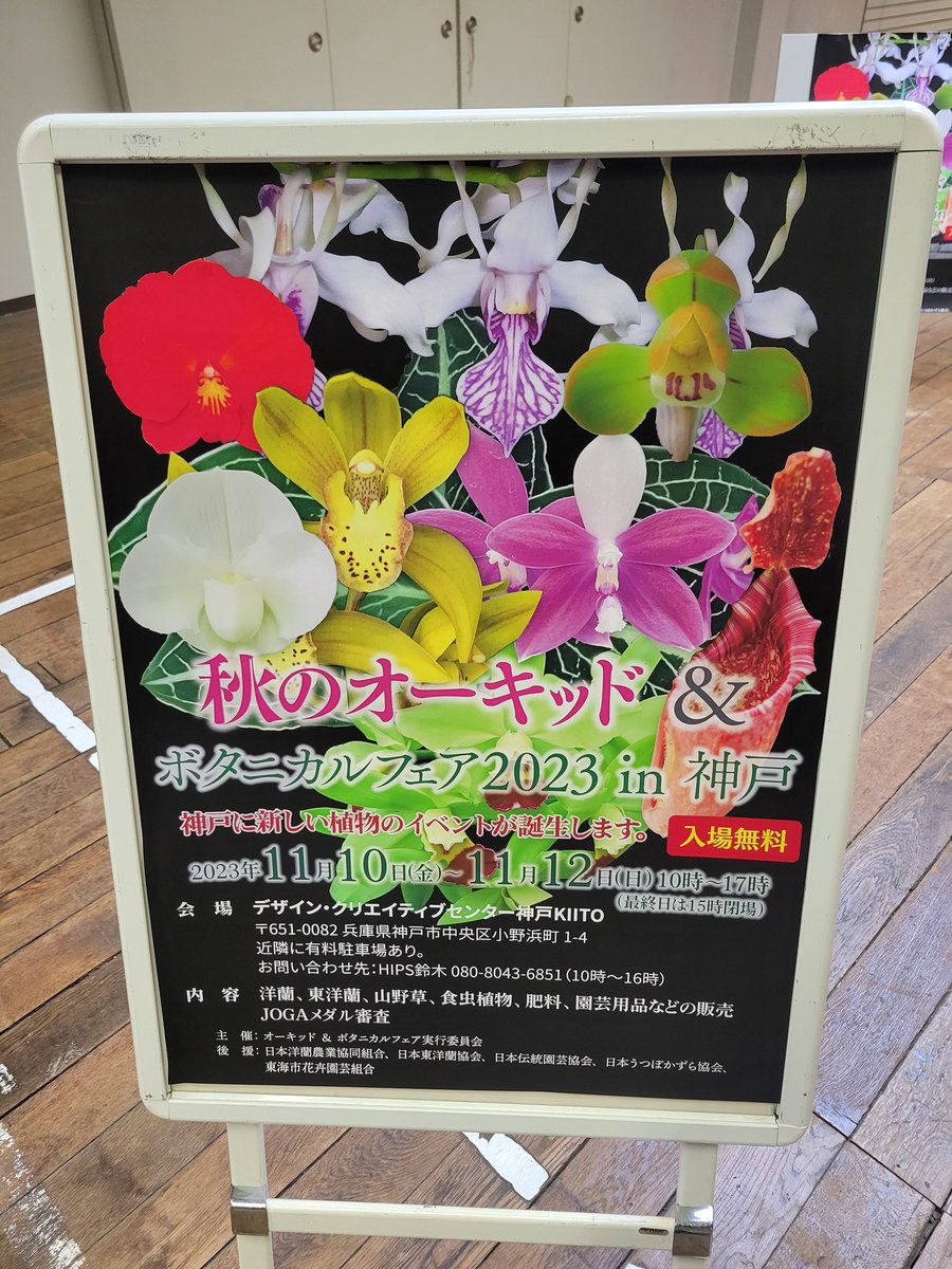 moemo1015's tweet photo. カトレアとバンダをお迎え✨
他にも気になる子はいましたが
我慢しました(^-^; https://t.co/XgBIEJYeti