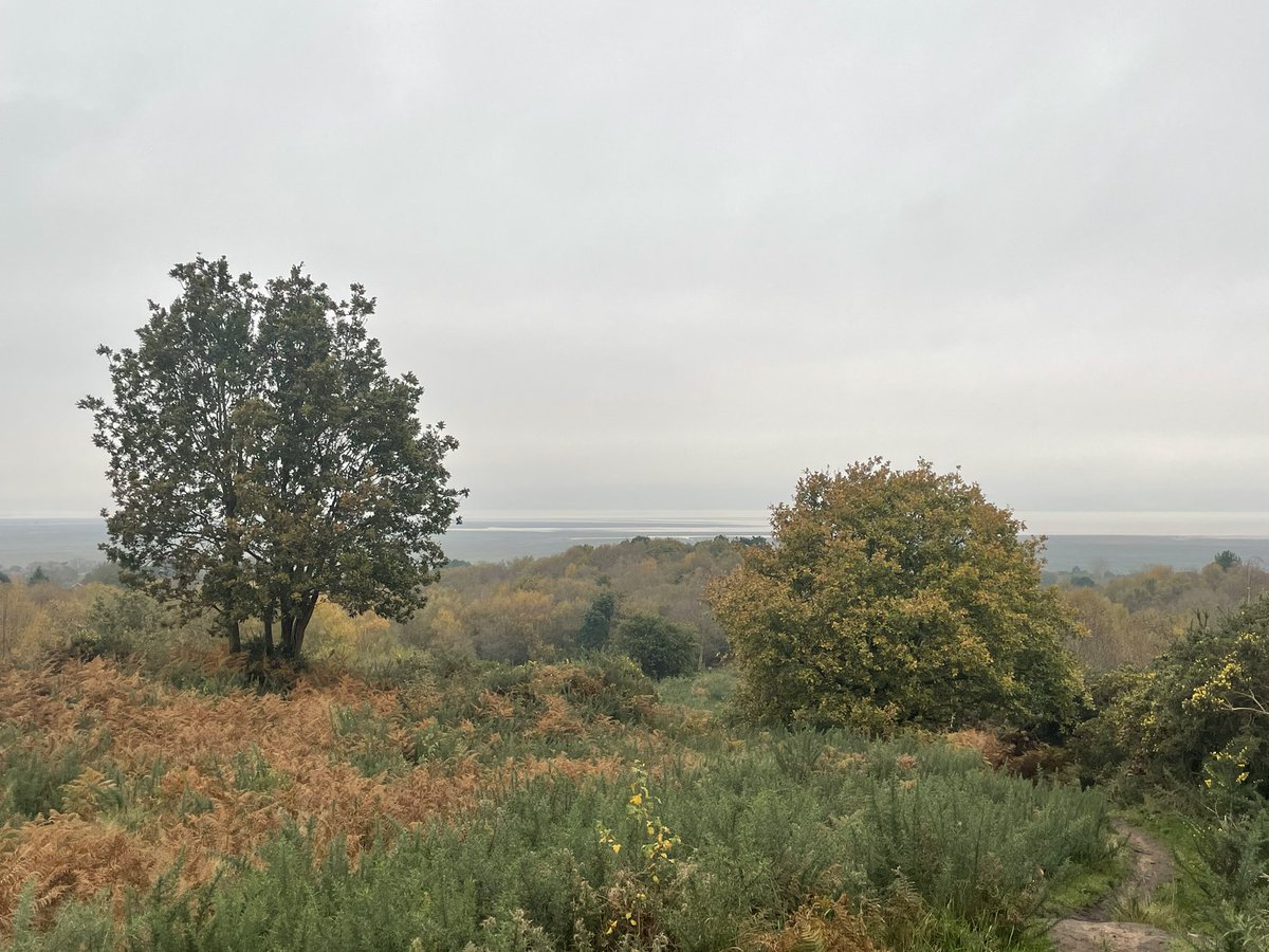 @ew_moore tweet media