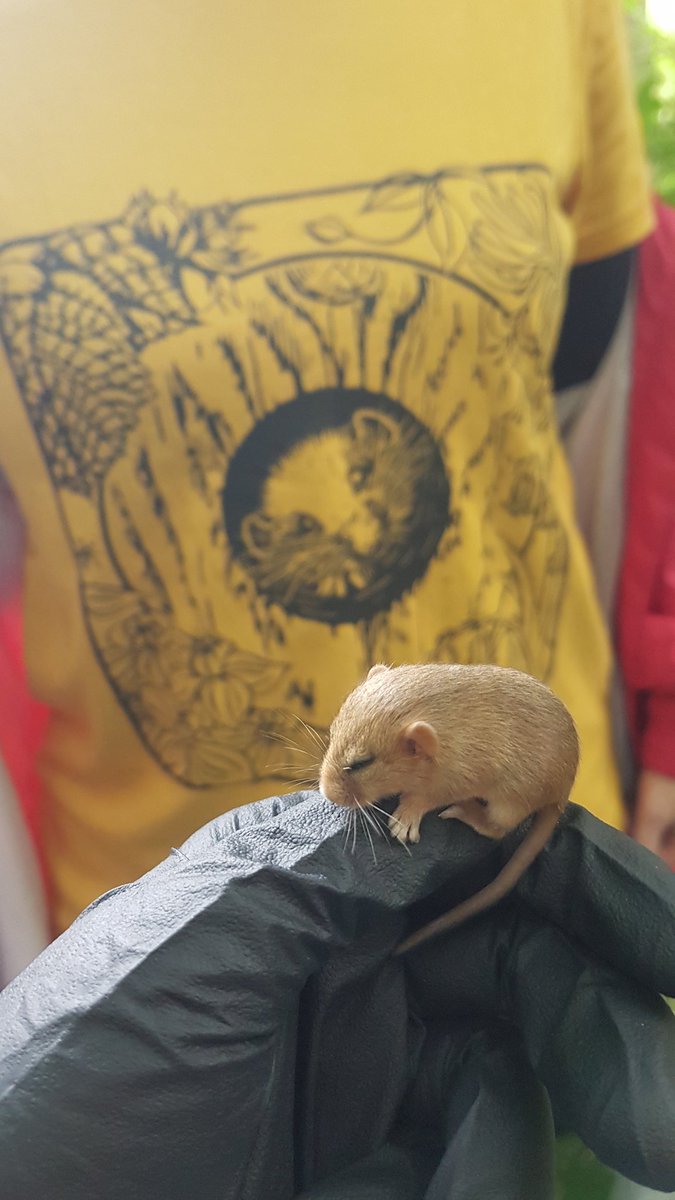 Lorna Griffiths tweet media