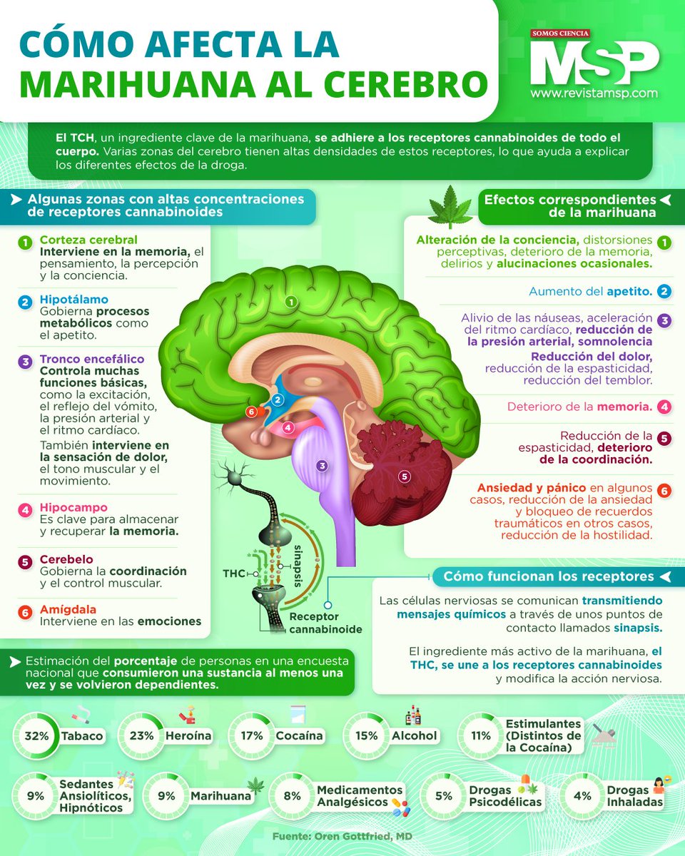RevistaMSP's tweet photo. #InfografíaMSP | Varias #investigaciones indican que los #consumidores diarios de #marihuana tienen un mayor #riesgo de sufrir #alteraciones del #sueño.
📲 https://t.co/Bsq3i0IBi5
#Marihuana #Cerebro #Efectos #Perjudicial #MSP https://t.co/HW1X5RS0pt