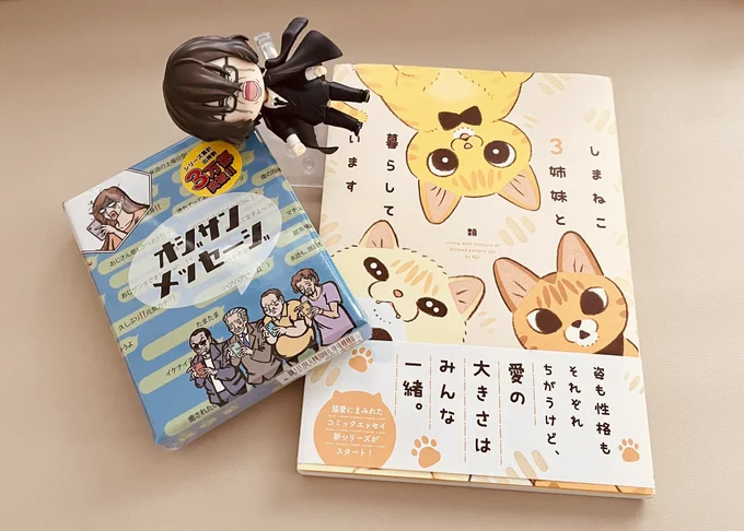 かすさんから誕プレ頂きましたありがとうございますてかまじでオジサンメッセージボドゲ実物が手に入ってゲラゲラ笑ってる😂😂種類多すぎてまだ全部把握できてないけど仮で組み合わせただけでもう完全なの最高 
