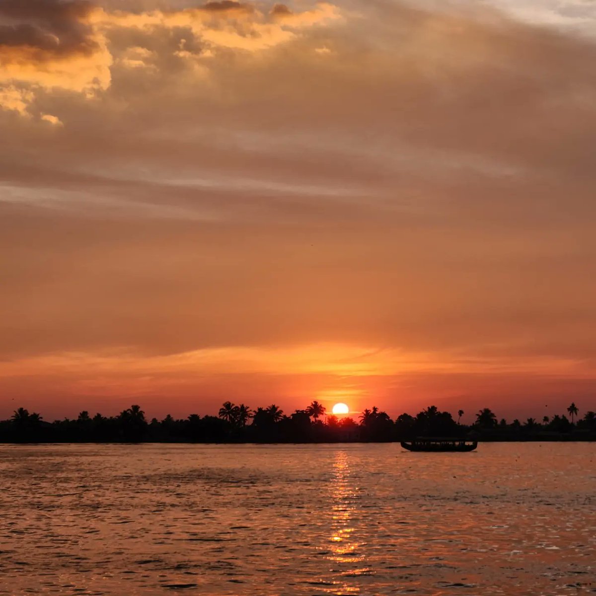 The Analysis tweet media