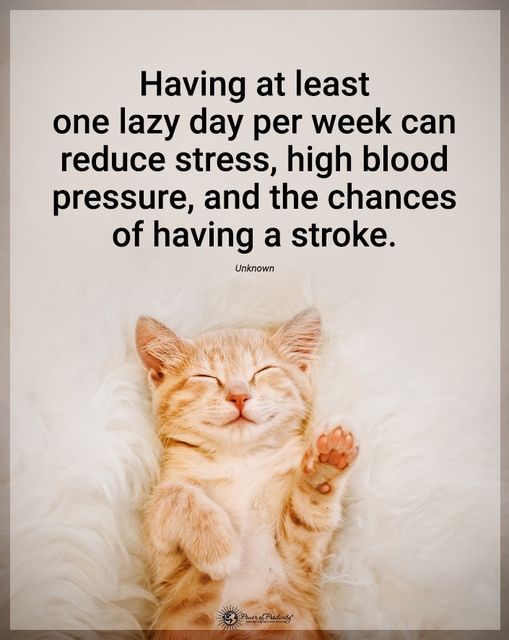 TrainingMindful's tweet photo. https://t.co/kzs1FkWczN