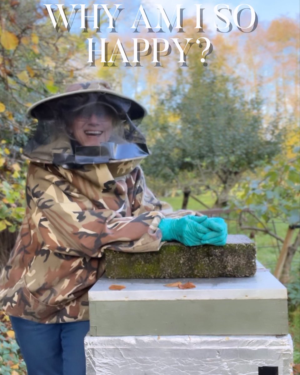 mdthequeenbee's tweet image. #beekeeper #beekeeping #apiarylife  #honeybees