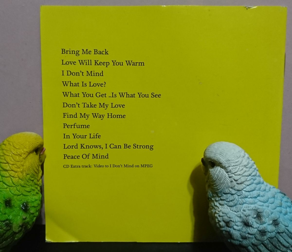 KuniyanBudgie's tweet photo. #NowPlaying #なうぷれ
Swan Lee 🇩🇰 『Swan Lee』(2004)
↓ 「What Is Love ?」
https://t.co/XcZdFb8qCj
#SwanLee https://t.co/tlvqzB24Iw