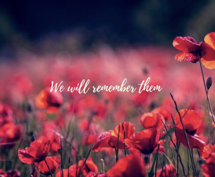 Merrick (@merricklegal) on Twitter photo 