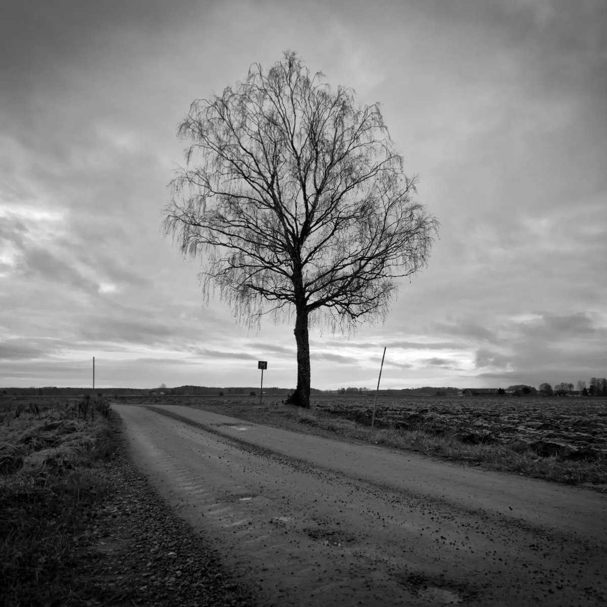 Gary Weeks Photography tweet media