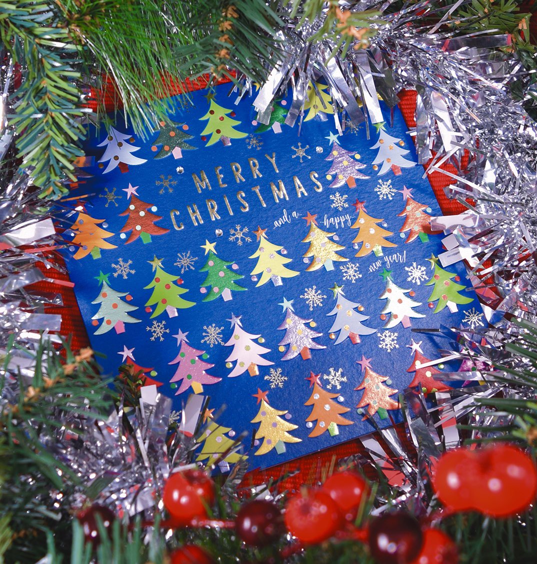 We are all getting ourselves organised for the festive period here! Just to help you out we’re offering free postage on all Christmas cards this weekend - write your cards in November and you can send them 2nd Class <a href="/RoyalMail/">Royal Mail</a> on December 1st!
Use Code: FREEPOSTAGE at checkout