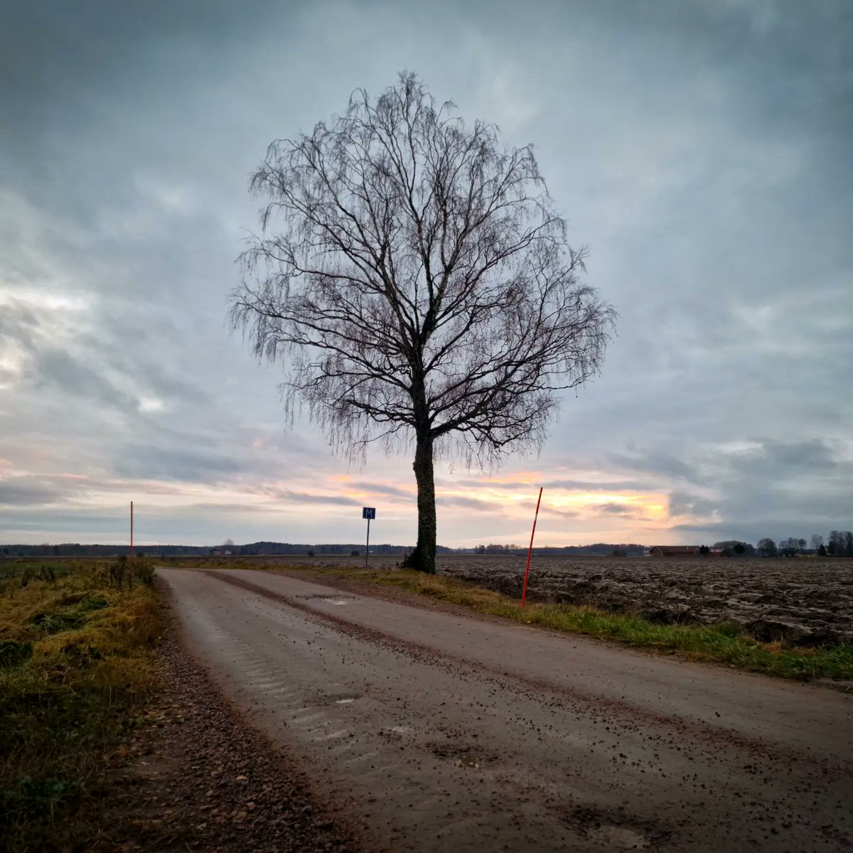 Gary Weeks Photography tweet media