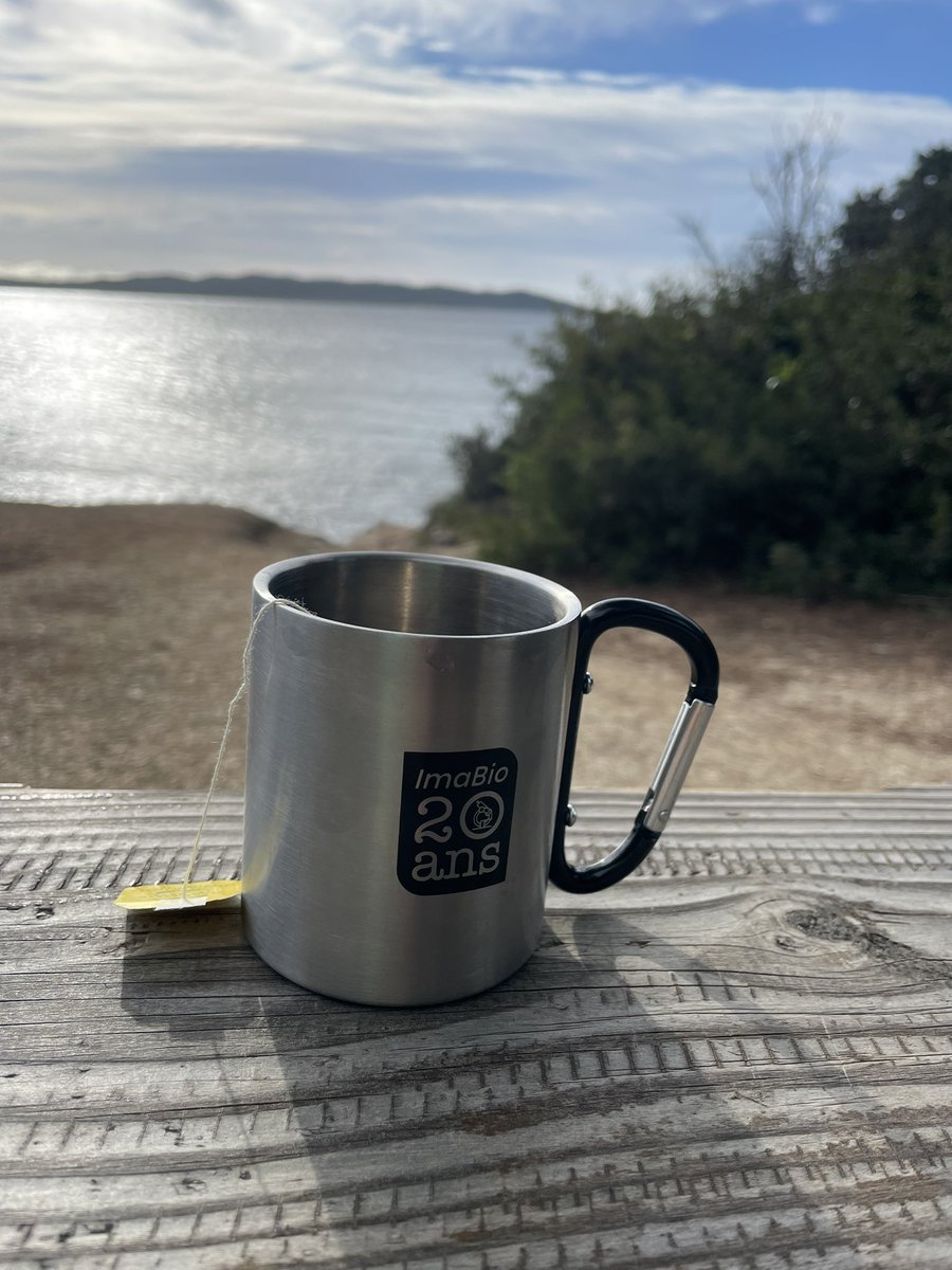 MeryemTardivel's tweet photo. Don't forget to use this pretty mug for an eco-responsible MiFoBio! #MiFoBio2023 #gdrimabio https://t.co/On2msffqml