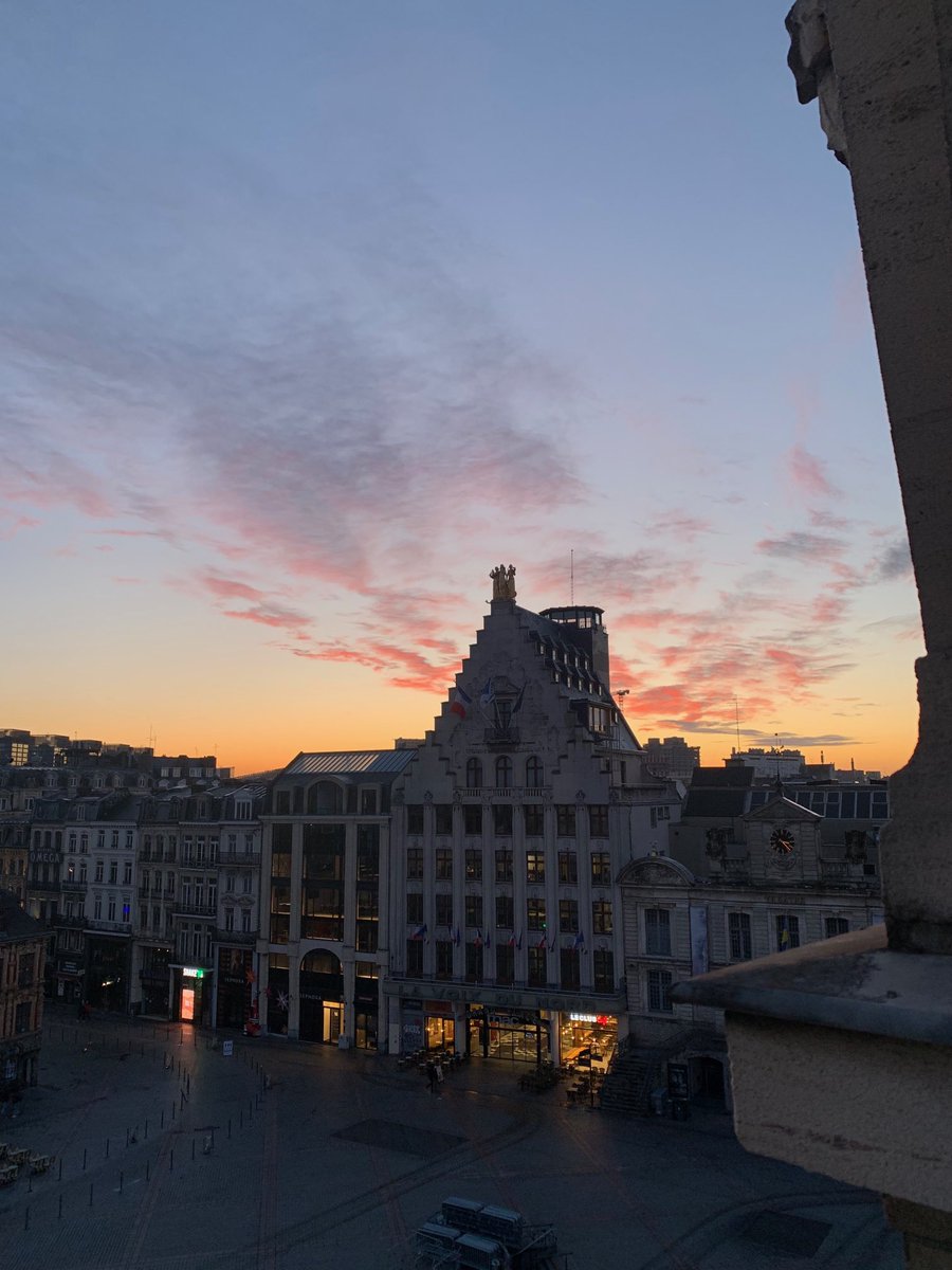 Maya_Assi tweet media