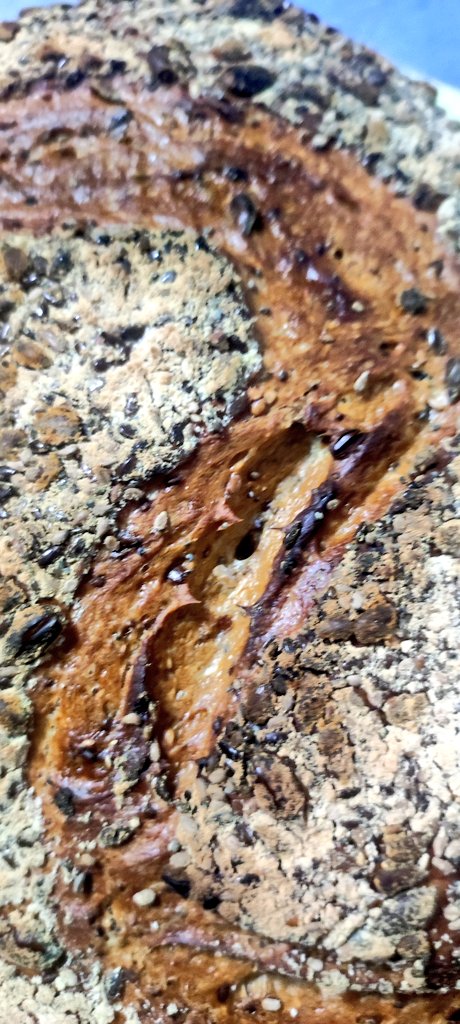 traduceman's tweet image. Llevo todo el fin de semana emPANado😅. La tostada del desayuno ha sido de órdago. #panarra #bakingbread #masamadre #panaderocasero #pan