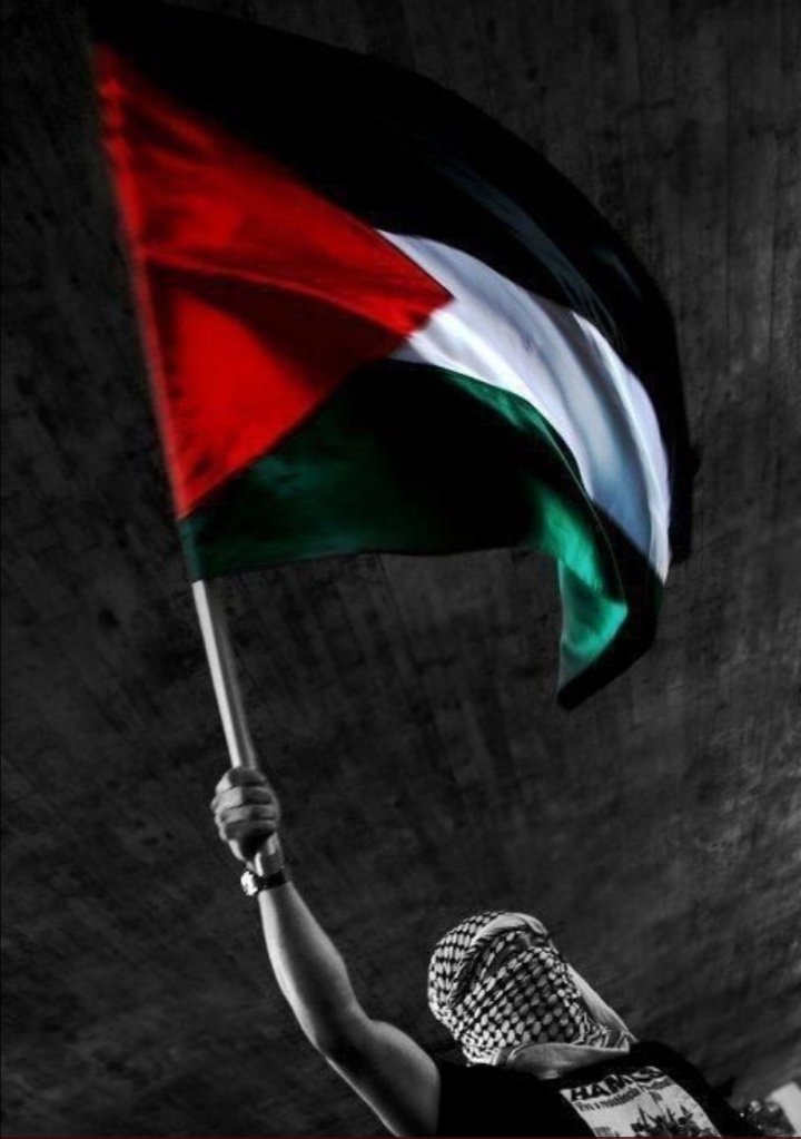 @RemediosRamos1 @alqudsandalucia @Evanieto54 @IUMalaga_ciudad @IUMalaga @ComunistasMLG @PCEMalaga @antoniamorillas Viva Palestina libre 🇵🇸 🇵🇸 #FreePalestine
