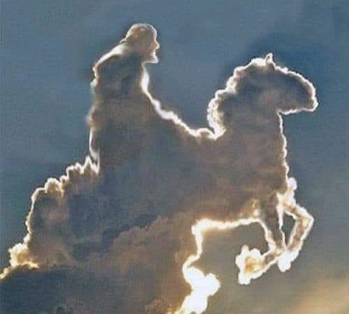 prophetessfay1's tweet photo. A miracle is coming your way in 2days time!
  Congratulations! https://t.co/pOghmMct6S