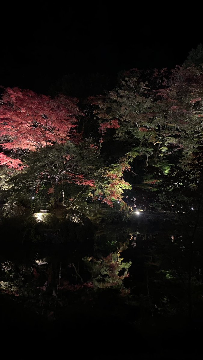 manatea_87's tweet photo. 日光🌿🍂🍁 https://t.co/uTJdj6BwyB