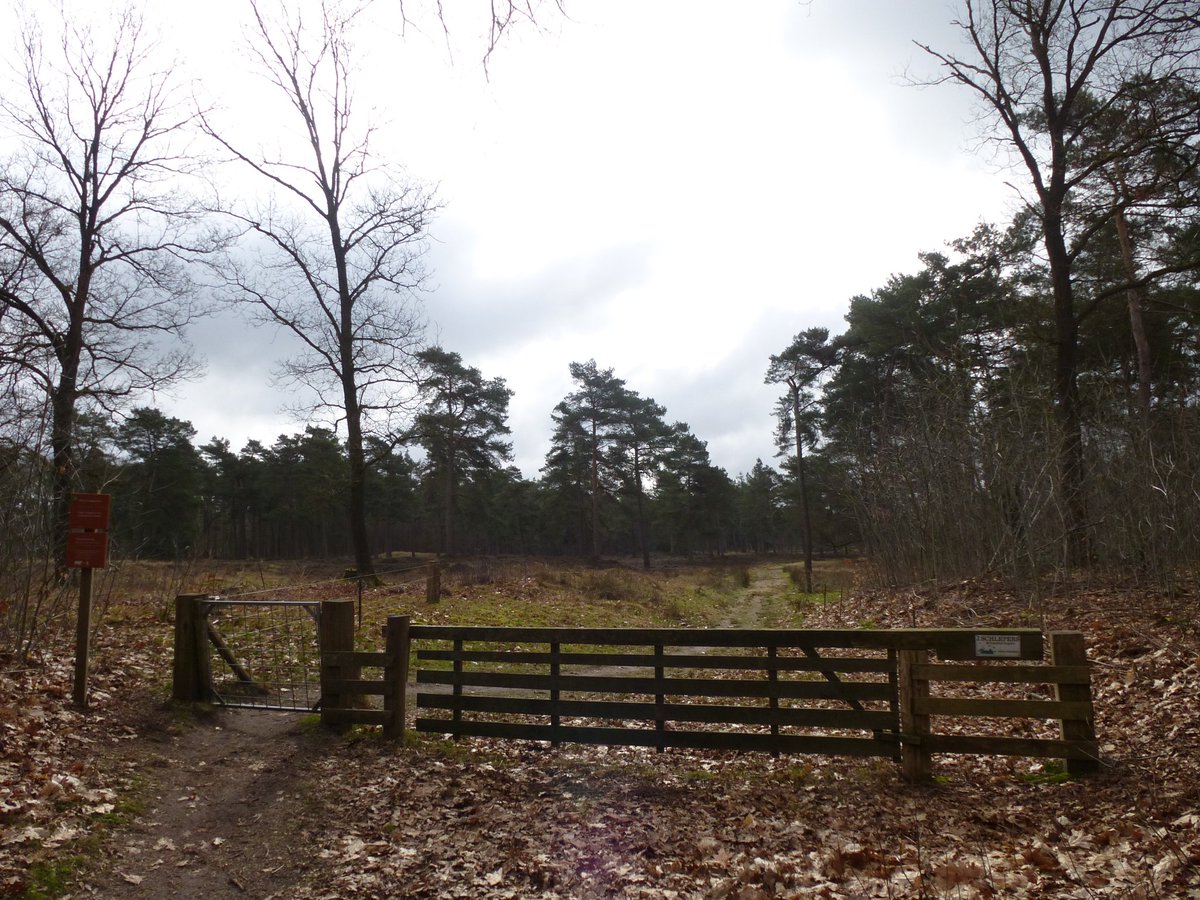 carovdster's tweet image. #November_kiek #ingang 
Ingang naar... 💚
@Tpzijl