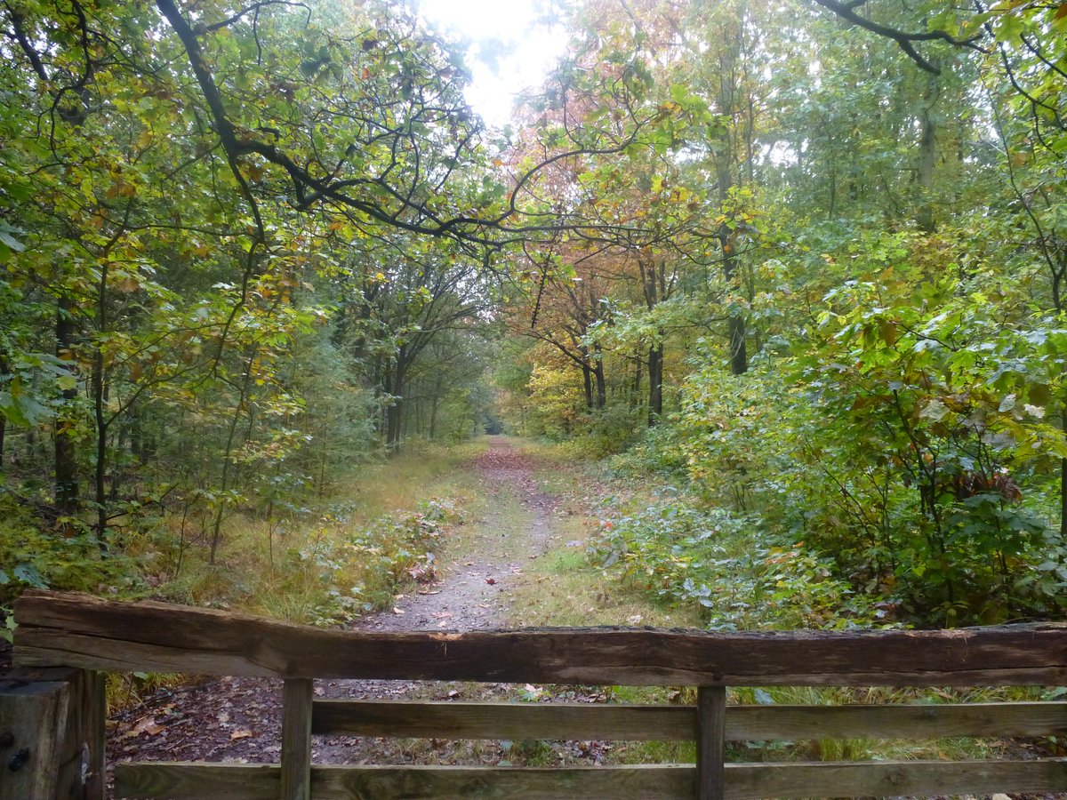 carovdster's tweet image. #November_kiek #ingang 
Ingang naar... 💚
@Tpzijl