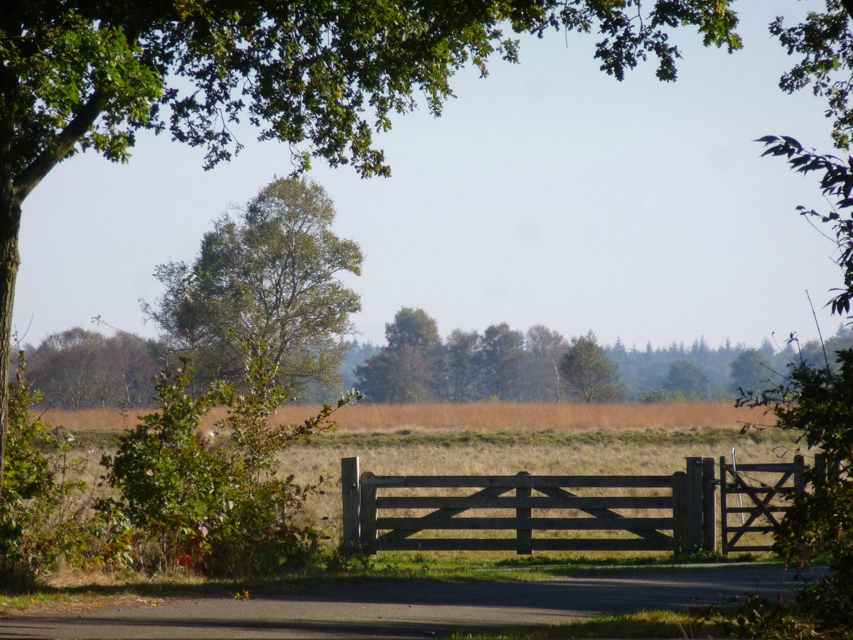 carovdster's tweet image. #November_kiek #ingang 
Ingang naar... 💚
@Tpzijl