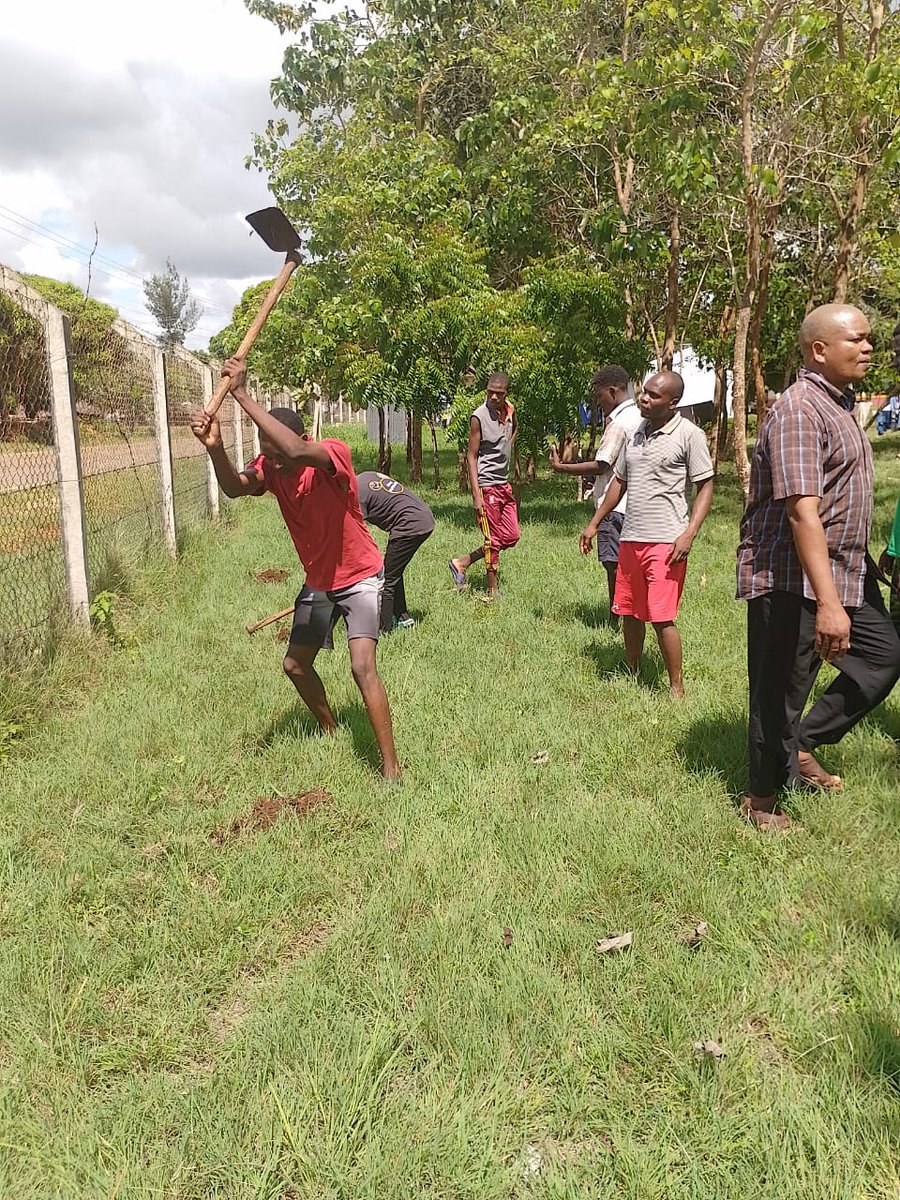 Tomorrow's campaign target is for each of us to plant at least two seedlings and immediately reach the day's campaign goal of 100 million seedlings. #NationalTreeGrowingDay #JazaMiti