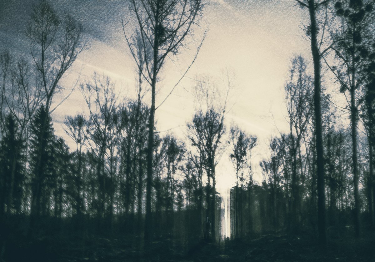 mosers01's tweet image. nyctophobia.