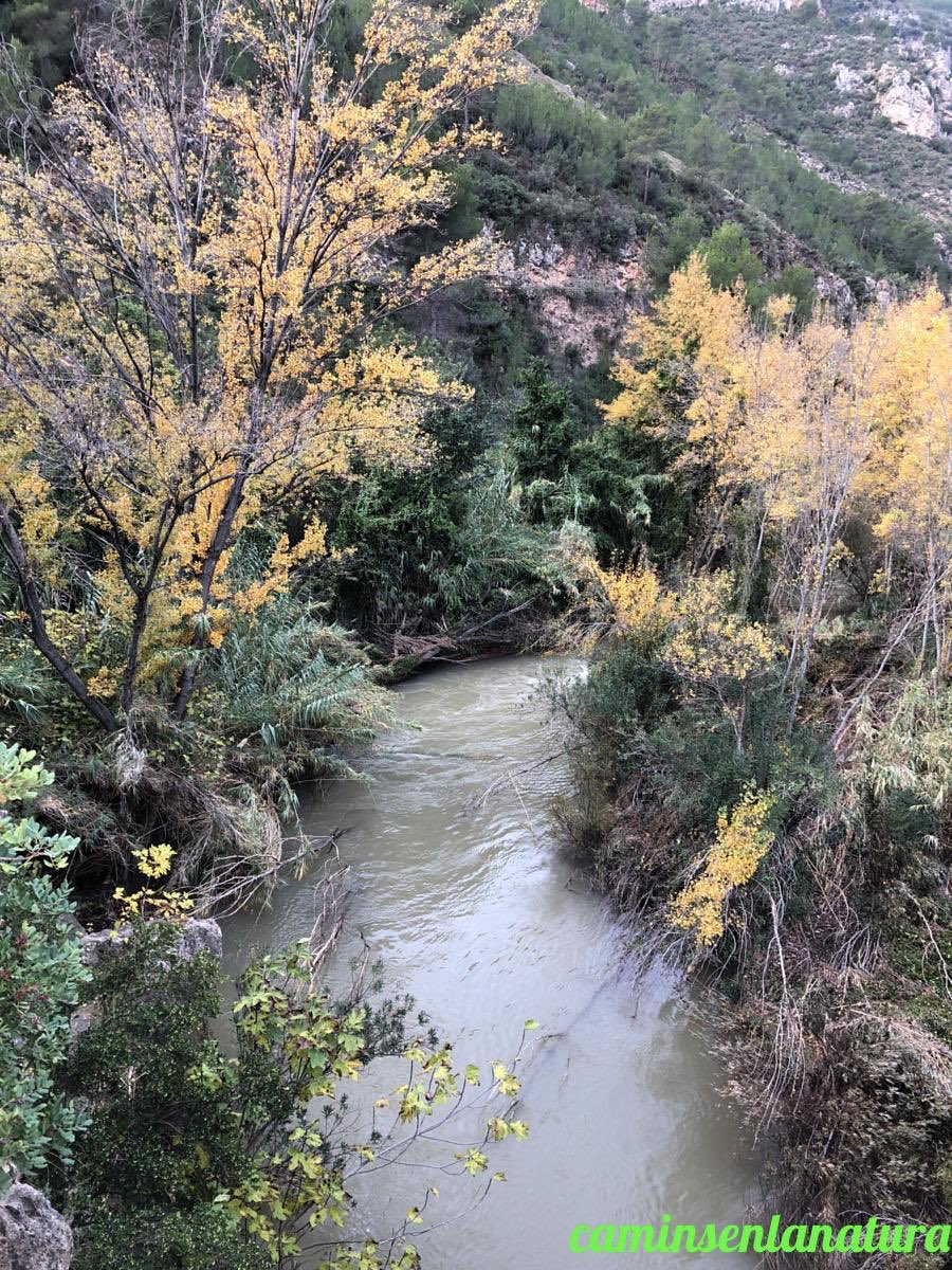 caminsnatura's tweet photo. 📸 Tardor al riu de Millars.
📌 Toga, comarca de l’Alt Millars. https://t.co/5NnUZCymPD