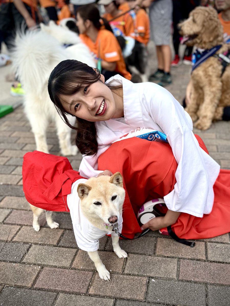 hachimangu1661's tweet photo. 11月11日、「2023年 Go with わんこマラソン」に参加しました🐶🏃

当宮の巫女のrinoと、シロちゃんがお揃いの巫女服を来て無事に完走出来ました🏃✨ とっても目立っていましたよ！
rinoとシロちゃんお疲れ様でした😊

宮司は、ステージに登壇し簡単ではありますが、ランナーの皆さんとワンちゃんに安全祈願をさせていただきました⛩️✨

福島八幡宮では、皆さまの大切な家族であるペットちゃんの健康を願っての「ペット祈願」を執り行っております。

「ペット祈願」をご希望の方は当宮までご予約をよろしくお願い致します🐾

⛩️ 福島八幡宮 社務所 0943-22-3332(9時〜17時)

⛩️ ご予約はこちら
https://t.co/XB8vRNMOFG

※御祈祷予定の前日、または当日に予約される場合は、お電話でお願い致します。

#福島八幡宮 #福岡県 #八女市 #わんこマラソン #ペット祈願 #犬と走ろう #ドッグランニング #健康祈願 #ペット祈願の神社 #fukuoka #fukushimahachimangu #ペット好き