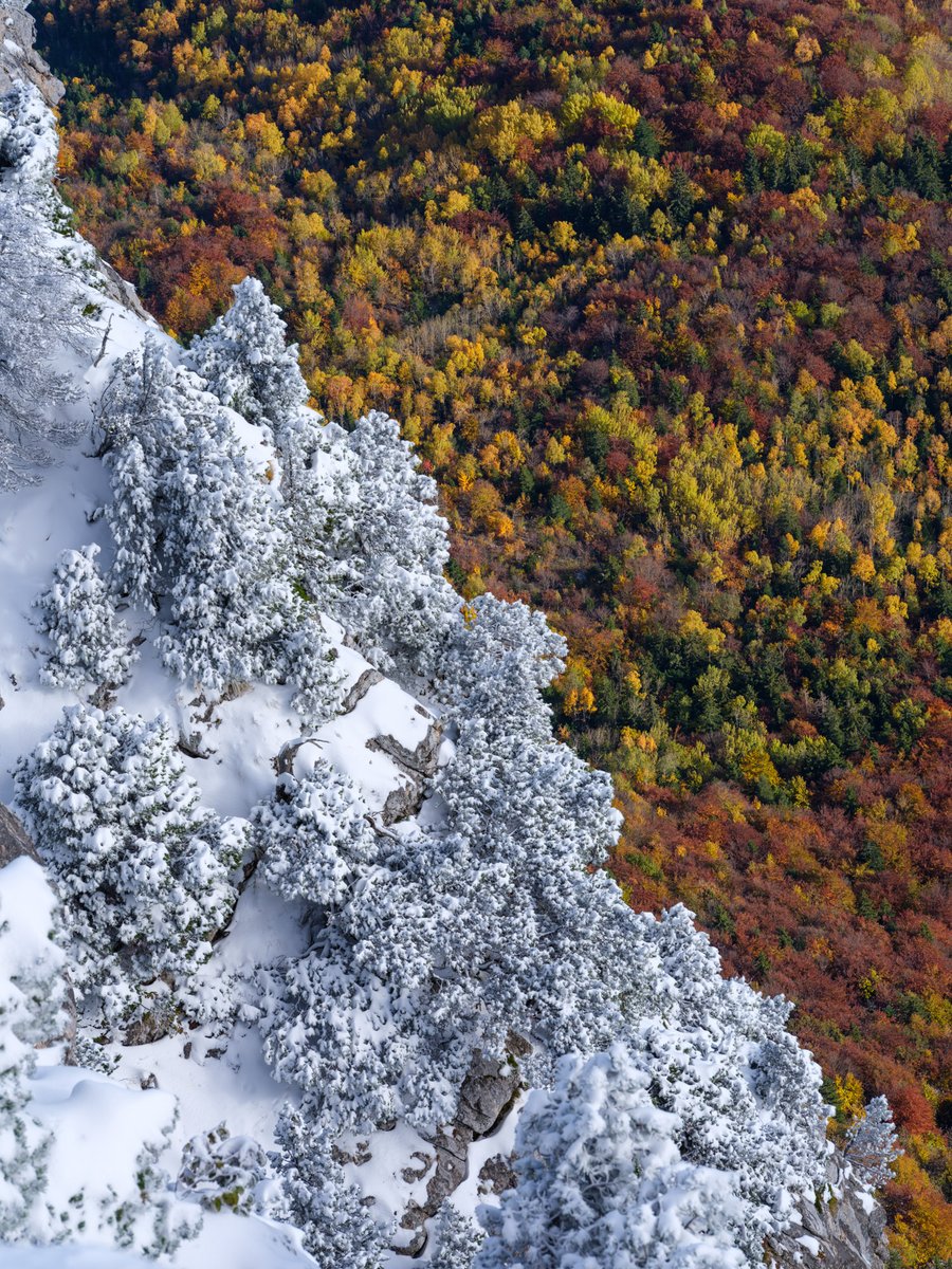 Guillaume Lahure tweet media